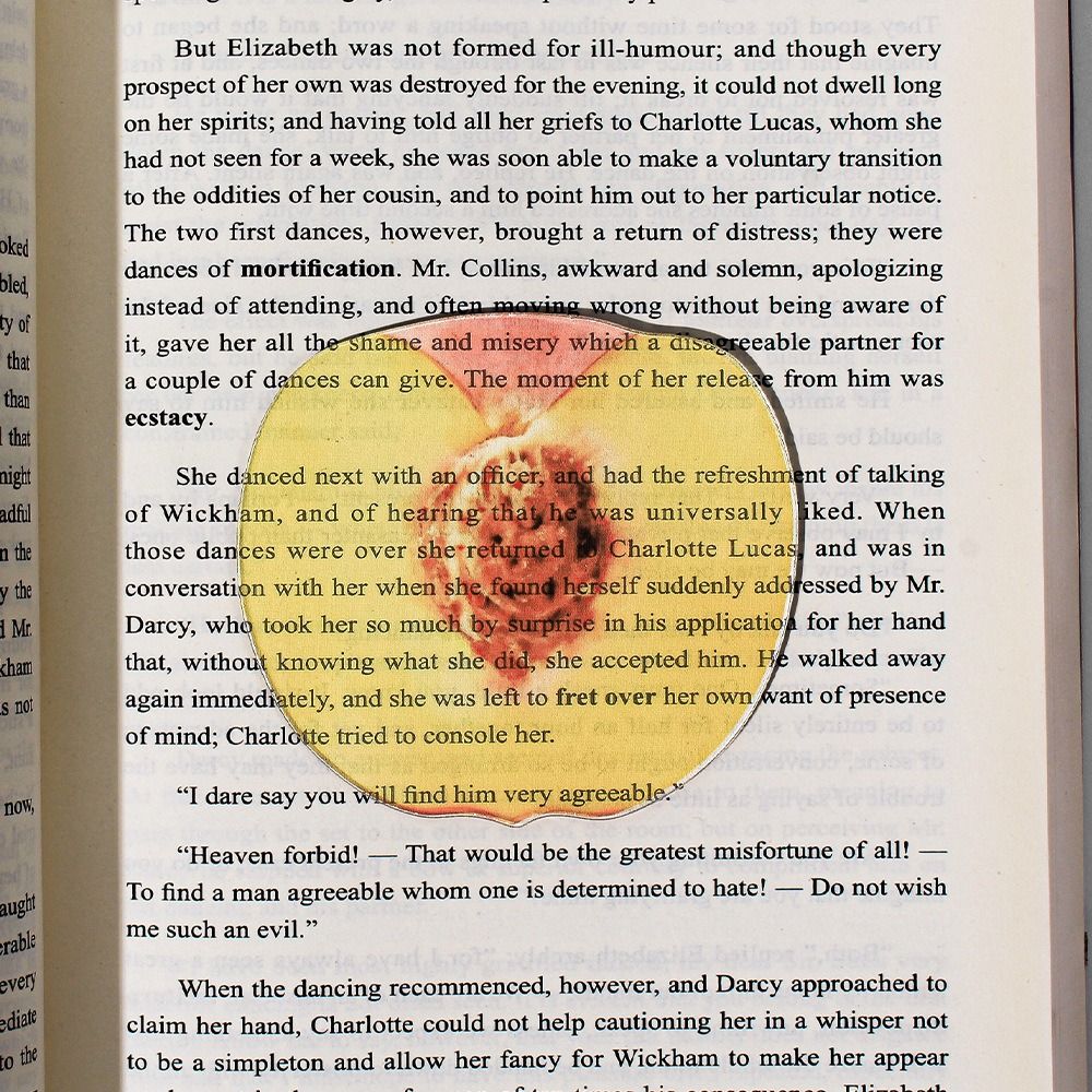 Fruit Roll Up - Eye-Catching Acrylic Bookmark Simulation Fruit Transparent