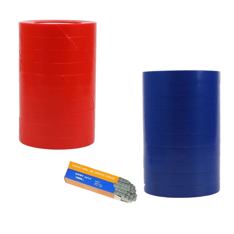 Fruit Roll Up - Vườn Vật Có Tapetool 30 Mét/cái