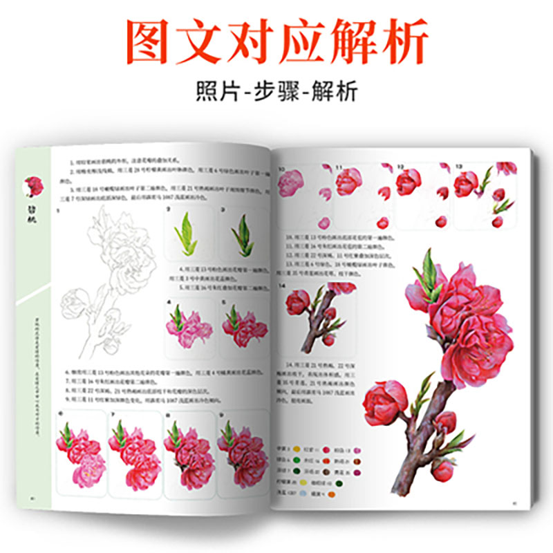 A course of practical color le - đánh giá và giá Food And Snacks Coloring Book Bold And Easy