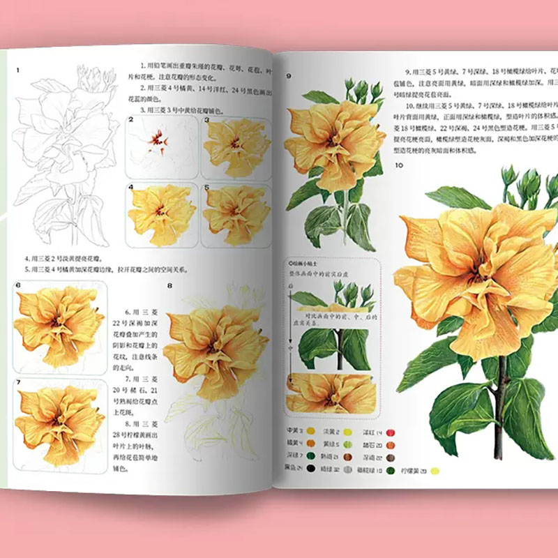 A course of practical color le - đánh giá và giá Food And Snacks Coloring Book Bold And Easy