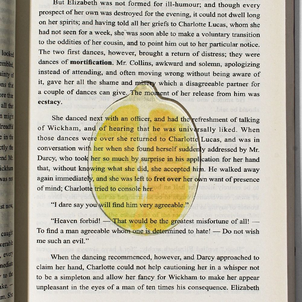 Eye-Catching Acrylic Bookmark  - đánh giá và giá Fruit Roll Up