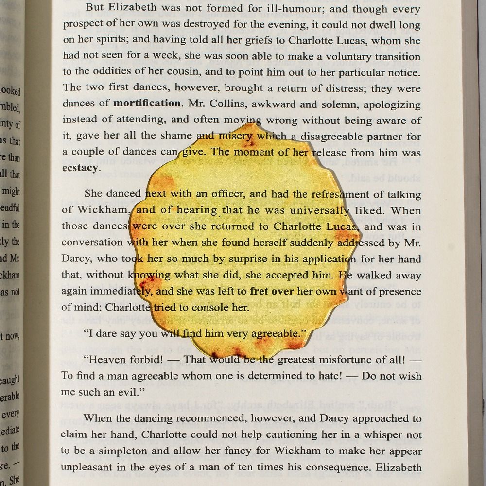 Eye-Catching Acrylic Bookmark  - đánh giá và giá Fruit Roll Up